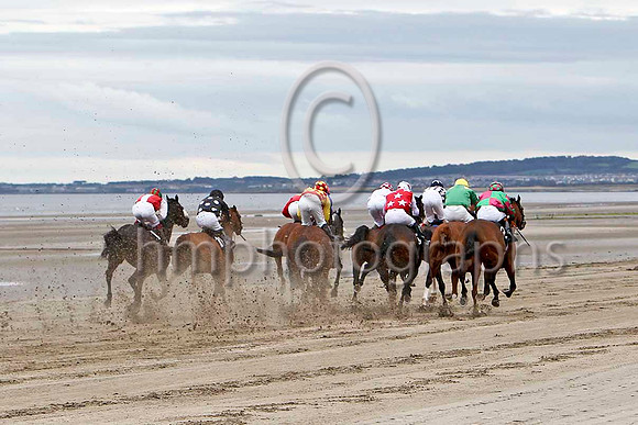 Race 1 Laytown - FT8E4098-e2