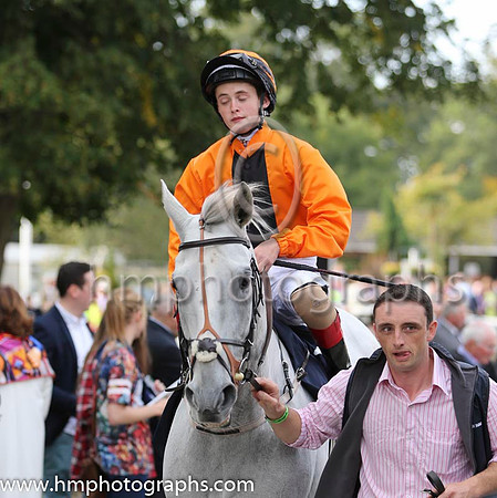15 Dalasiri and R P Downey - - 15th (12 ,orange, black panel ) Trainer - Miss S J Harty