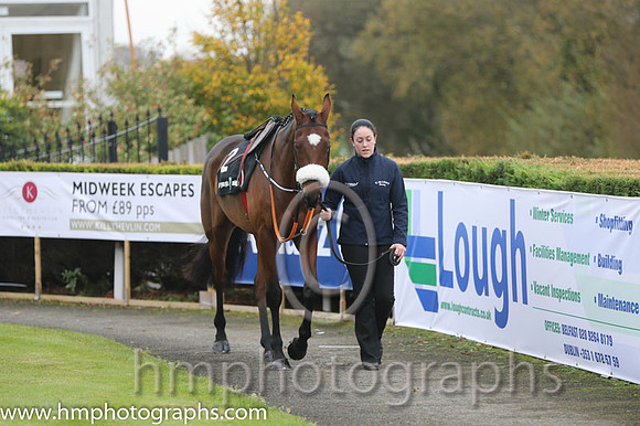 07 Tiger Roll and B J Cooper - PU - 07th (2 ,maroon white star ) Trainer - G Elliott
