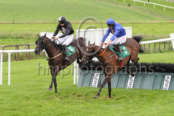 01st Give Him Time and D N Russell ( 5 , blue, yellow stags head ) Trainer - G Elliott , Owner - Gordon Elliott