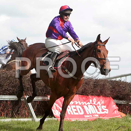 Cilliseal , 2nd, Jockey - M J O'Hare - CU2D4633-e