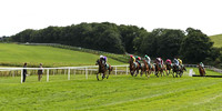 Flemenco Prince 4th , Jockey M W Bowes in the lead - FT8E3004-e