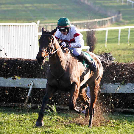Posh Bird  2nd, Jockey K M Donoghue - FT8E0517-e