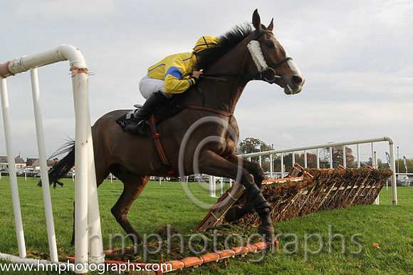 14 so Rustic and S W Flanagan - - 14th (13 ,yellow, royal blue seams ) Trainer - J G Cosgrove