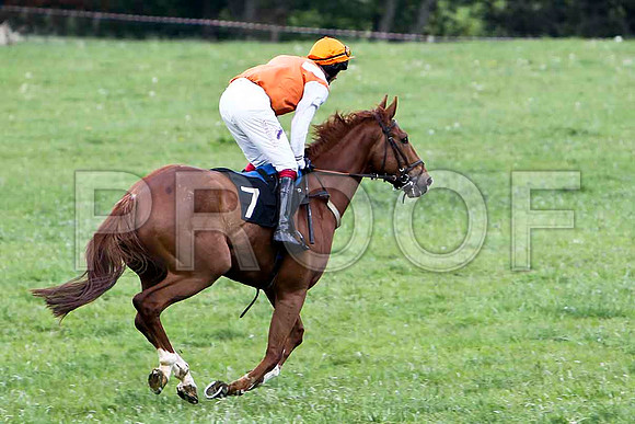 Glenwood Present , Winner, Jockey C Cully - FT8E2276-e