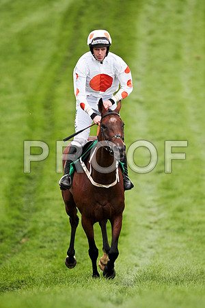 King'sandQueen's - 2nd , Jockey Andrew J McNamara   - CU2D9497-e