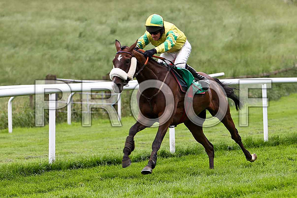 Templar Knight 2nd, Jockey P Carberry- CU2D0785-e