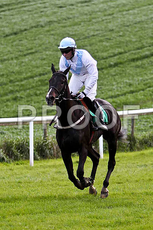 Seaneen Mac Ri - 6th, Jockey - Mr D A Fitzsimmons - FT8E2890-e