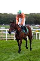 Lost Horizon , PU, Jockey - A P Thornton - FT8E2908-e