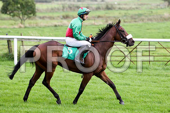 Golan Guy , Jockey Ruby Walsh - 2nd  - CU2D2332-e