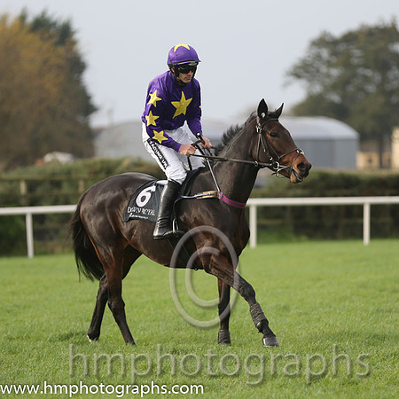 01 Morning Run and R Walsh - - 01th (6 ,purple, yellow star ) Trainer - W P Mullins