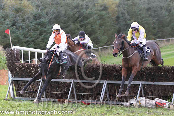 01 Whats Left & J J Codd - winner (16, white, red sash) - FT8E0872-37