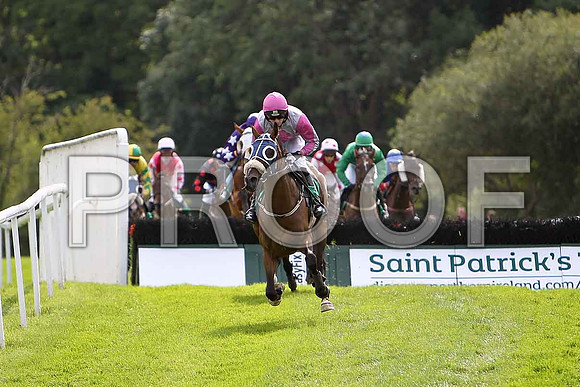 Greengables in the lead, 8th Jockey, S G McDermott - CU2D1668-e