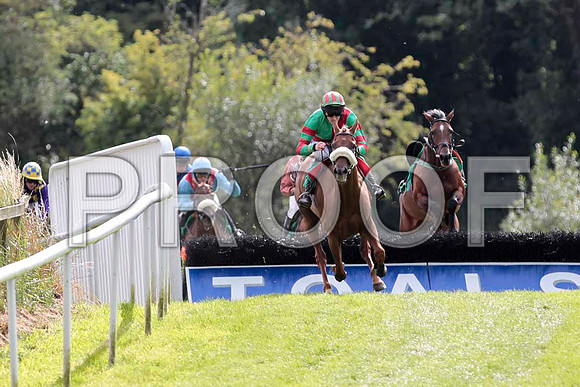 Claragh Native - Winner , Jockey Andrew J McNamara -CU2D9432-e