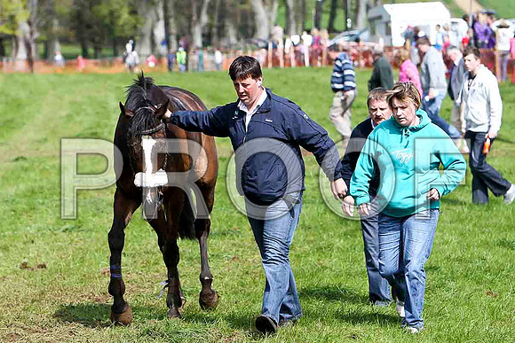 Mourne Paddy - Unplaced  - FT8E2079-e