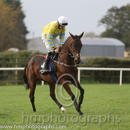 05 Leish Oscar and R C Colgan - - 05th (4 ,yellow, light blue star ) Trainer - N McKnight