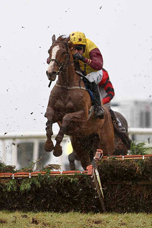 Prince of Edwards 6th, Jockey Anfrew J McNamara - CU2D3234-e