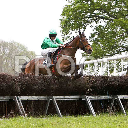 Little Luv , 6th, Jockey - M J O'Hare - FT8E2602-e