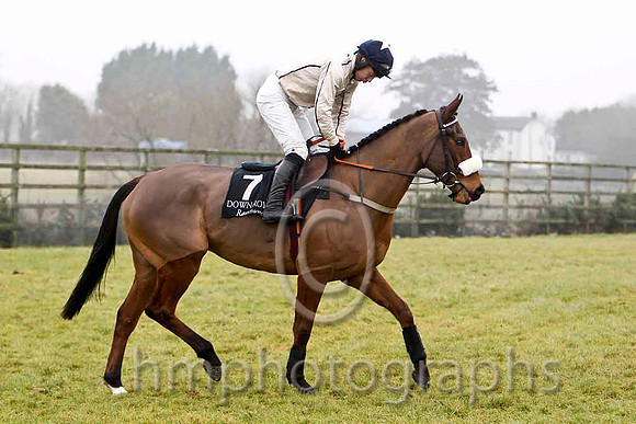 Not a Native, Jockey M F Mooney - 5th CU2D1960-e