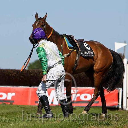 Tammys Hill - Fell, Jockey M W Bowes - FT8E2213-e