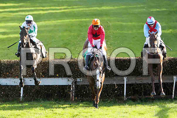Respectueux 5th, Bachelor Lad 8th & Bennys Quest 7th - FT8E4845-e