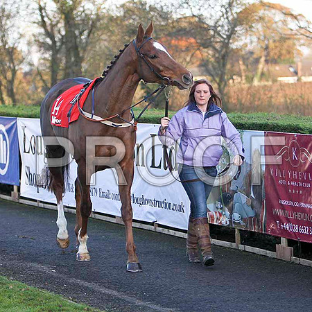 Farewell Angelina - 11th , Jockey Mr W Thompson - FT8E7274-e