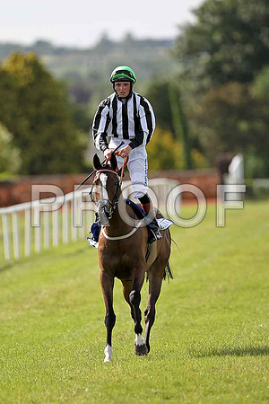 Frenka 3rd, Jockey C D Hayes  - FT8E1612-e
