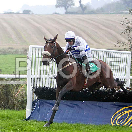 Glibin 4th , Jockey Andrew J McNamara - FT8E5233-e2