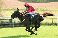 01st Tullybeg and D N Russell ( 2 , green and white chevrons ) Trainer - G Elliott , Owner - Noel Moran  Mrs Valerie Moran