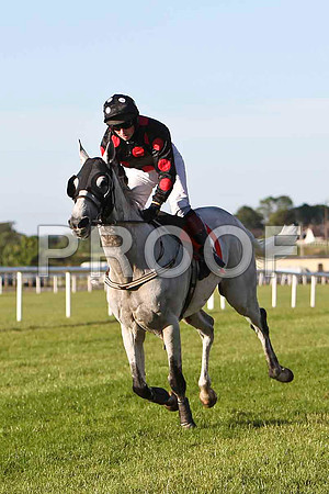 Hawkwind 6th, Jockey D G Hogan - CU2D0173-e