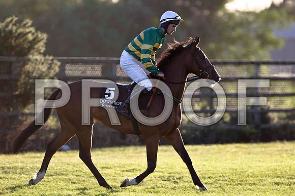 Jewel in the Sun 3rd, Jockey Mr P W Mullins - FT8E1166-e