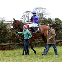 2010/11/05th - Race 2 - Down Royal - Lough Construction Ltd Mares Novice Hurdle (Grade 3) of 36,500 Euro