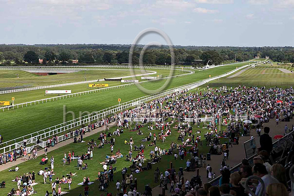 Ascot - IMG_9840-e