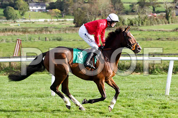 New Town Bay , Jockey Andrew J McNamara - 3rd - FT8E4425-e