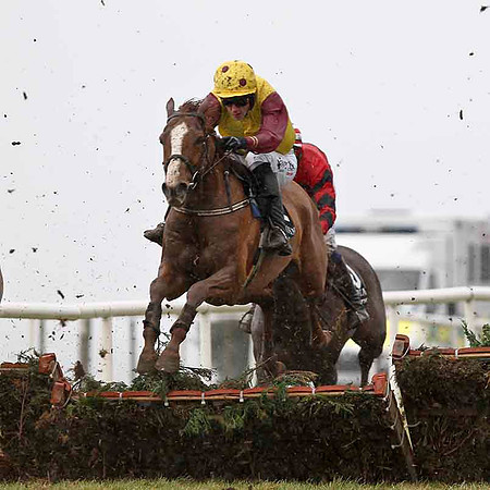 Prince of Edwards 6th, Jockey Anfrew J McNamara - CU2D3236-e