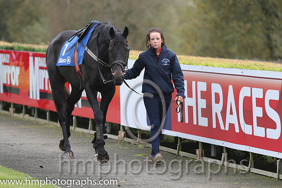02 Glenquest and A E Lynch - - 02nd (1 ,emerald green, purple star ) Trainer - S R B Crawford