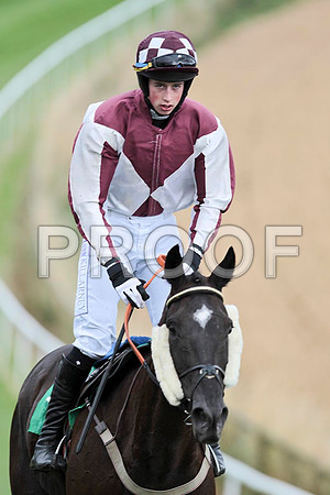 She will Return - 8th, Jockey B J Cooper - CU2D9500-e