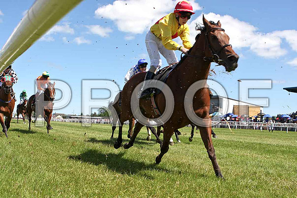 First in Command 3rd, Jockey R P Whelan - IMG_0379-e