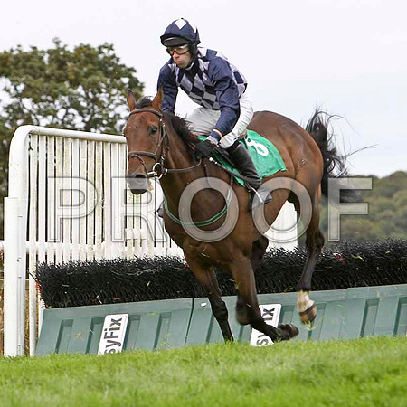 Kilcross Boy - 10th, Jockey T J Doyle  - FT8E3852-e