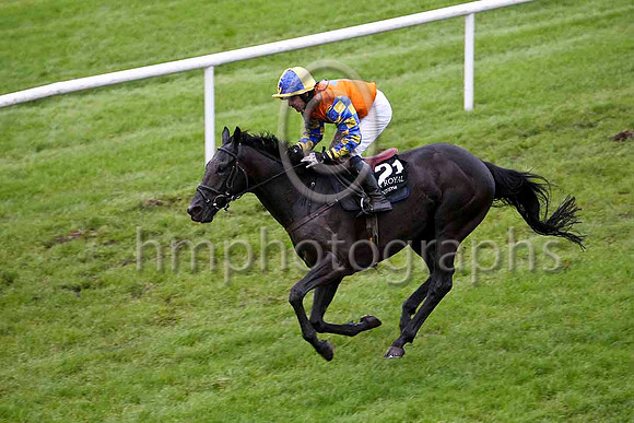 Mister Nibbles & Mr S Crawford - winner (21, orange, royal blue star) - FT8E5484-e4