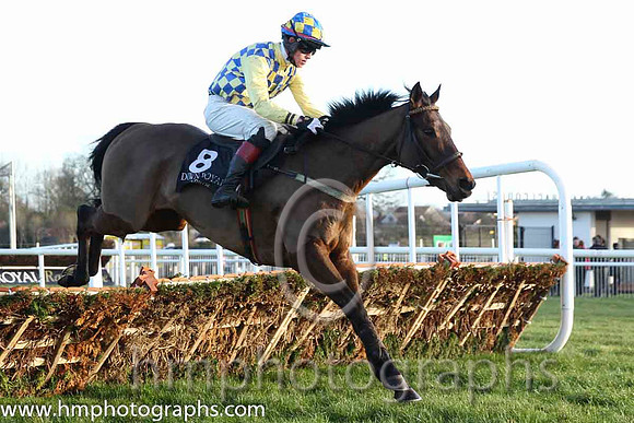 14 Probably Not & A F O'Neill - 14th (8, royal blue and yellow check) - CU2D9857-72