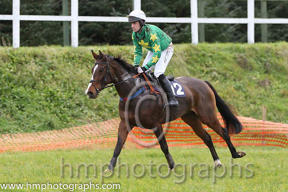 09 Ryansbrook & B O'Neill - Fell (12, emerald green, yellow star) - FT8E0891-3