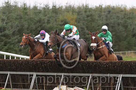 11 Seacon Beg & W Thompson - PU (14, white, blue panel), 10 Go Conquer & B O'Neill - Fell (4, emerald green, orange spots) & 06 OneHellOfANiceGuy & David Joseph O'Leary - 6th (13, emerald green, white
