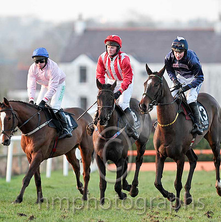 Los Amigos & Mr J P McKeown - 2nd - , Tyrone Tiger & Mr R A Latta - 6th & Fickle Fortune & Miss N Carberry - winner -- CU2D0357-e