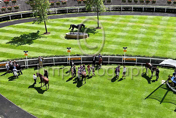 R1 - Exotic Guest & I Mongan 4th, Rivellino & Jim Crowley 2nd & Sea Shanty & R Hughes 3rd in Race 1 at Ascot - IMG_9860-e