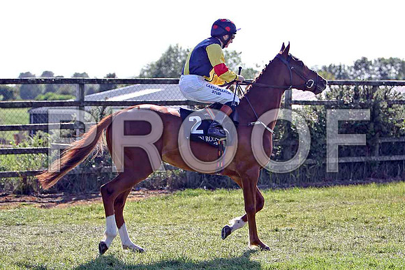 Zinawar 2nd , Jockey C D Hayes- CU2D0387-e