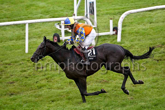 Mister Nibbles & Mr S Crawford - winner (21, orange, royal blue star) - FT8E5485-e2