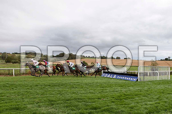 Kilrush - 2nd , Jockey R M Power - in the lead - IMG_9493-e