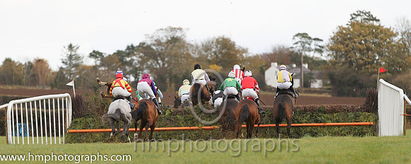 Iveagh Foxhounds P2p at Maralin - FT8E0832-10