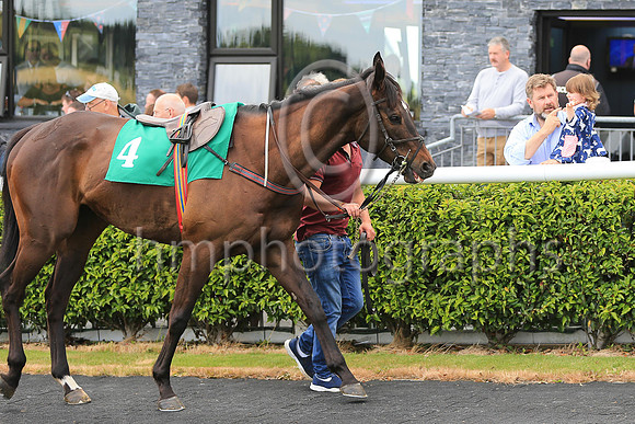 Watching the horses at Downpatrick Races